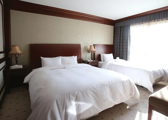 Hotel Prima 4*