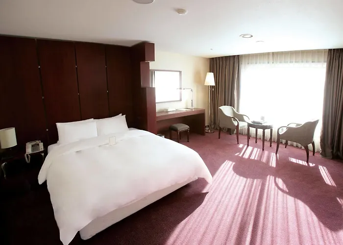 Hotel Prima 4*